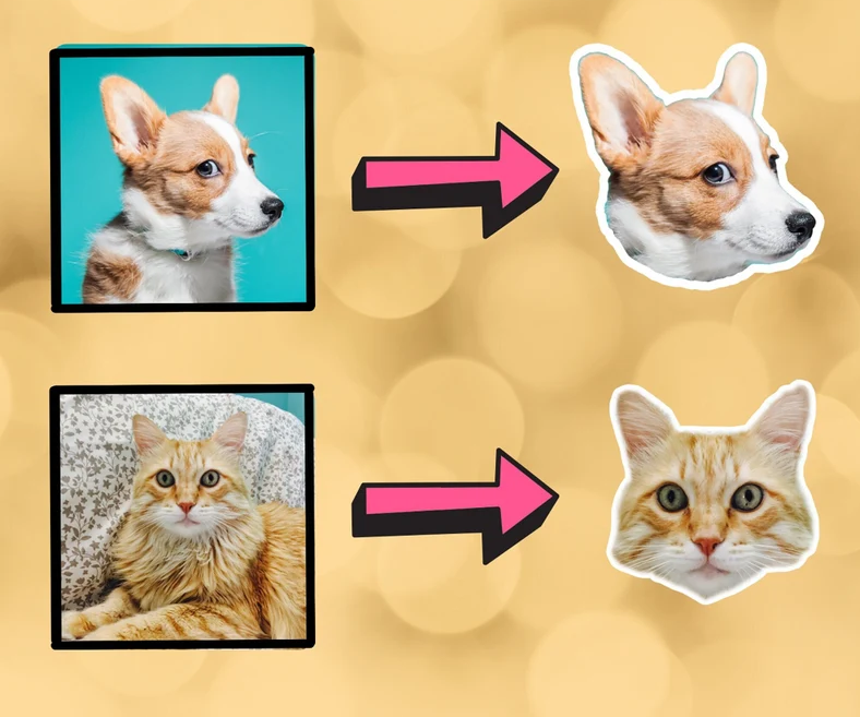 3x Adesivo personalizzato per il vostro animale domestico